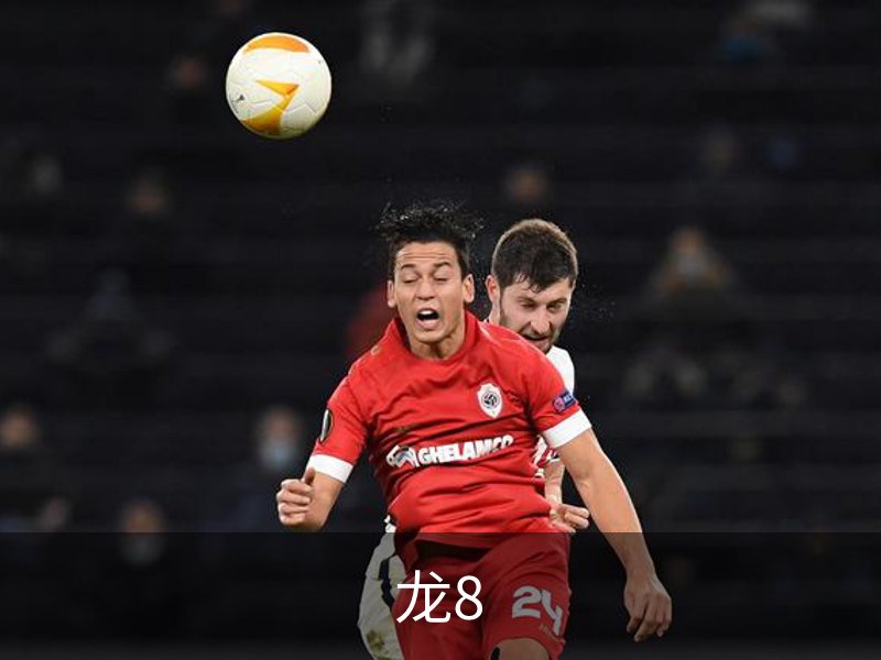走进龙8